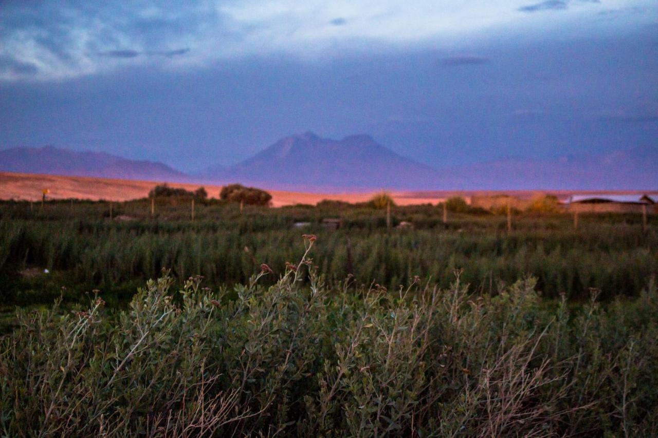 Sol Del Desierto Villa Chiuchiu Buitenkant foto